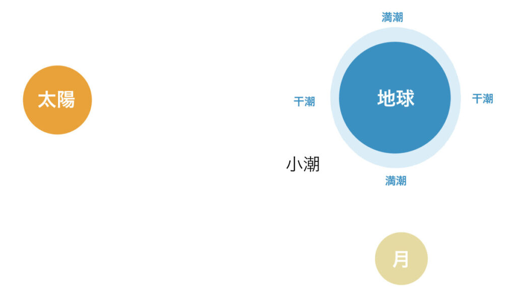 小潮 - 太陽と月の引力による干潮・満潮のしくみ