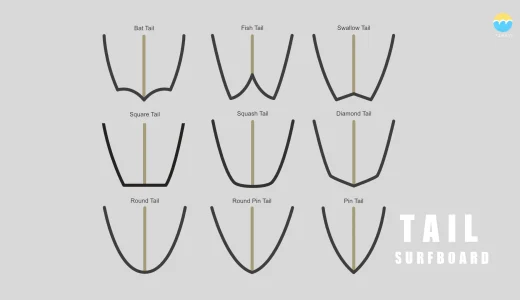 【サーフボード基礎知識】テールの種類と特徴