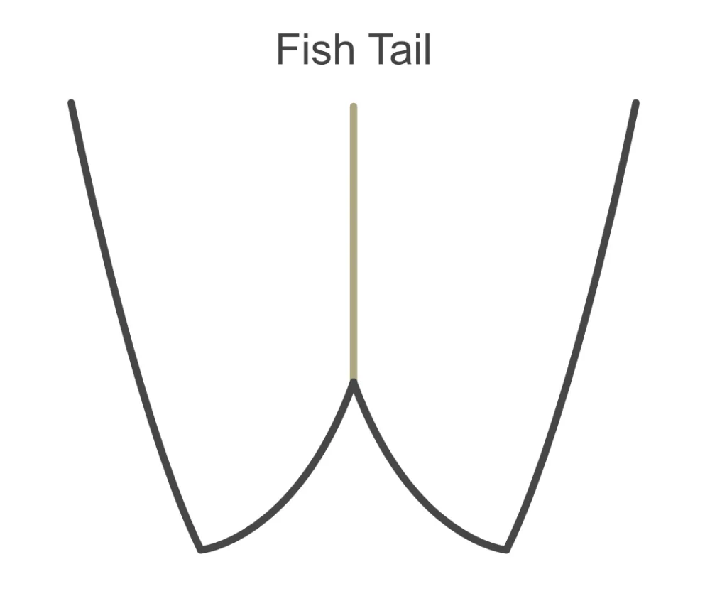 サーフボード フィッシュテール（Fish Tail）
