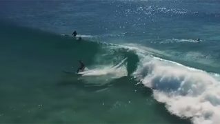 hunter-johnston/ longboards-surf