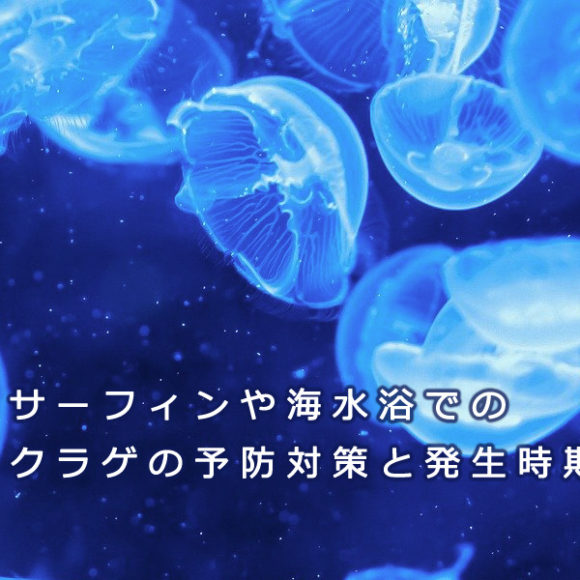 サーフィンや海水浴などで賑わう夏場 のクラゲの予防対策と発生時期 中古サーフボード通販のニックサーフマーケット