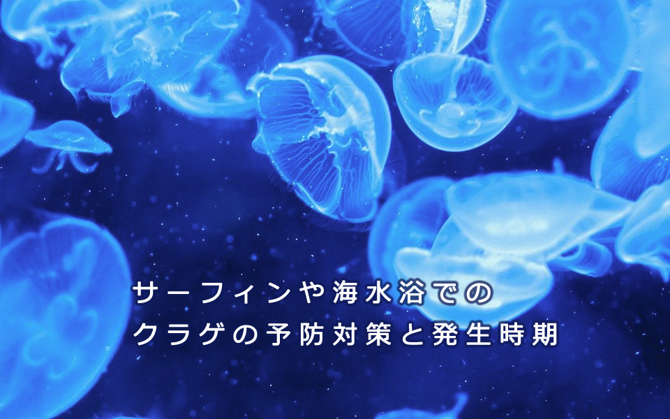 サーフィンや海水浴などで賑わう夏場 のクラゲの予防対策と発生時期 中古サーフボード通販のニックサーフマーケット